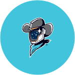 Sugar Land Space Cowboys logo